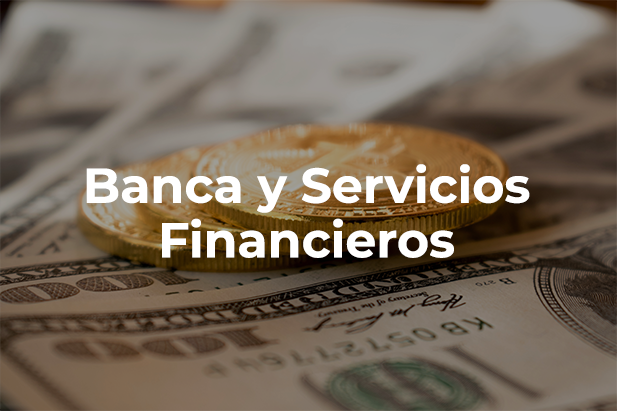 Banca-y-Servicios--Financieros-